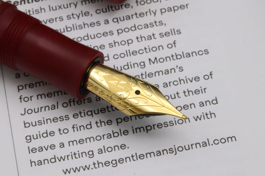 Nettuno Neos Fountain Pen - Eros image 1