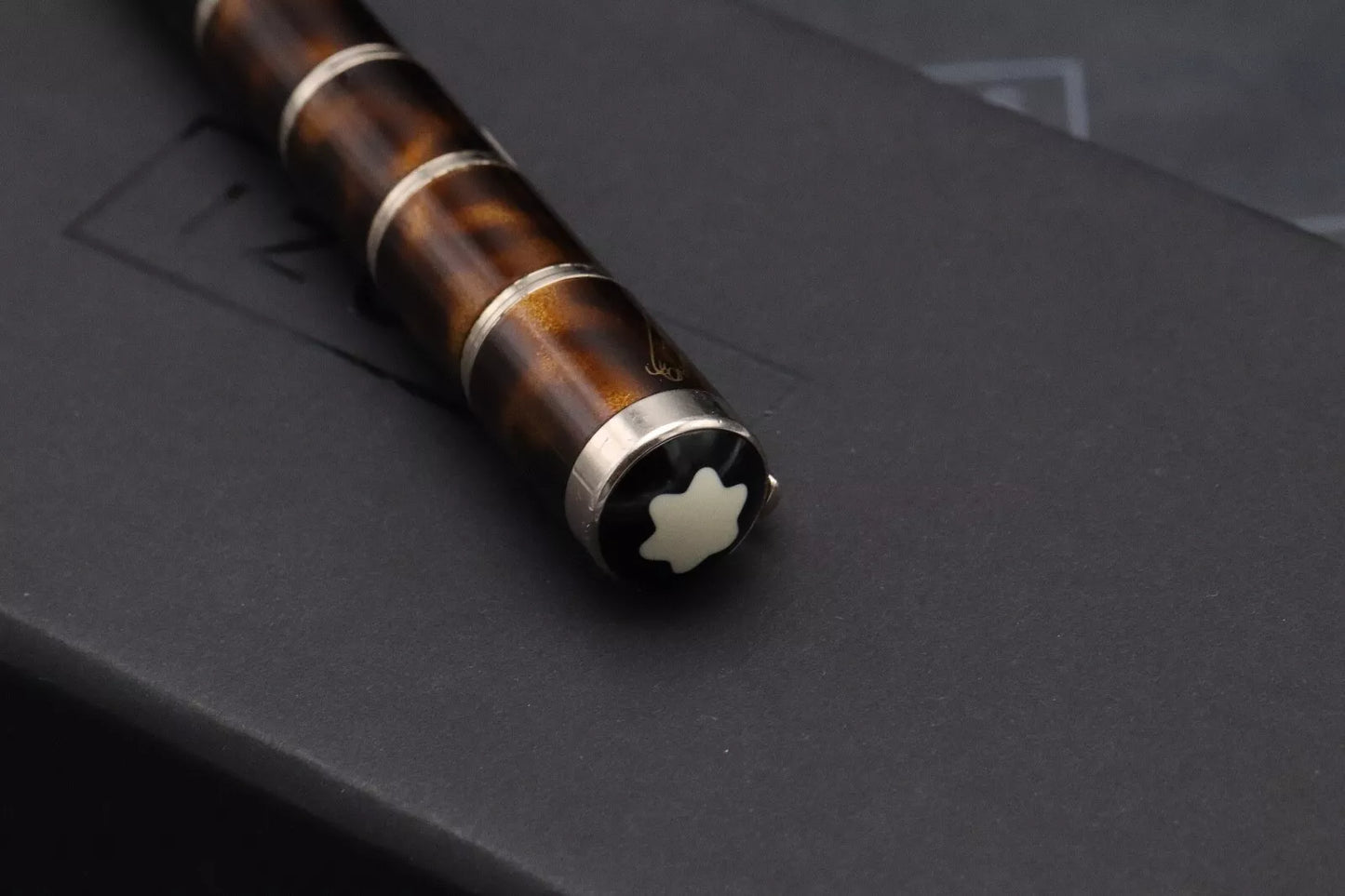 Montblanc Writers Edition Miguel de Cervantes Fountain Pen image 7