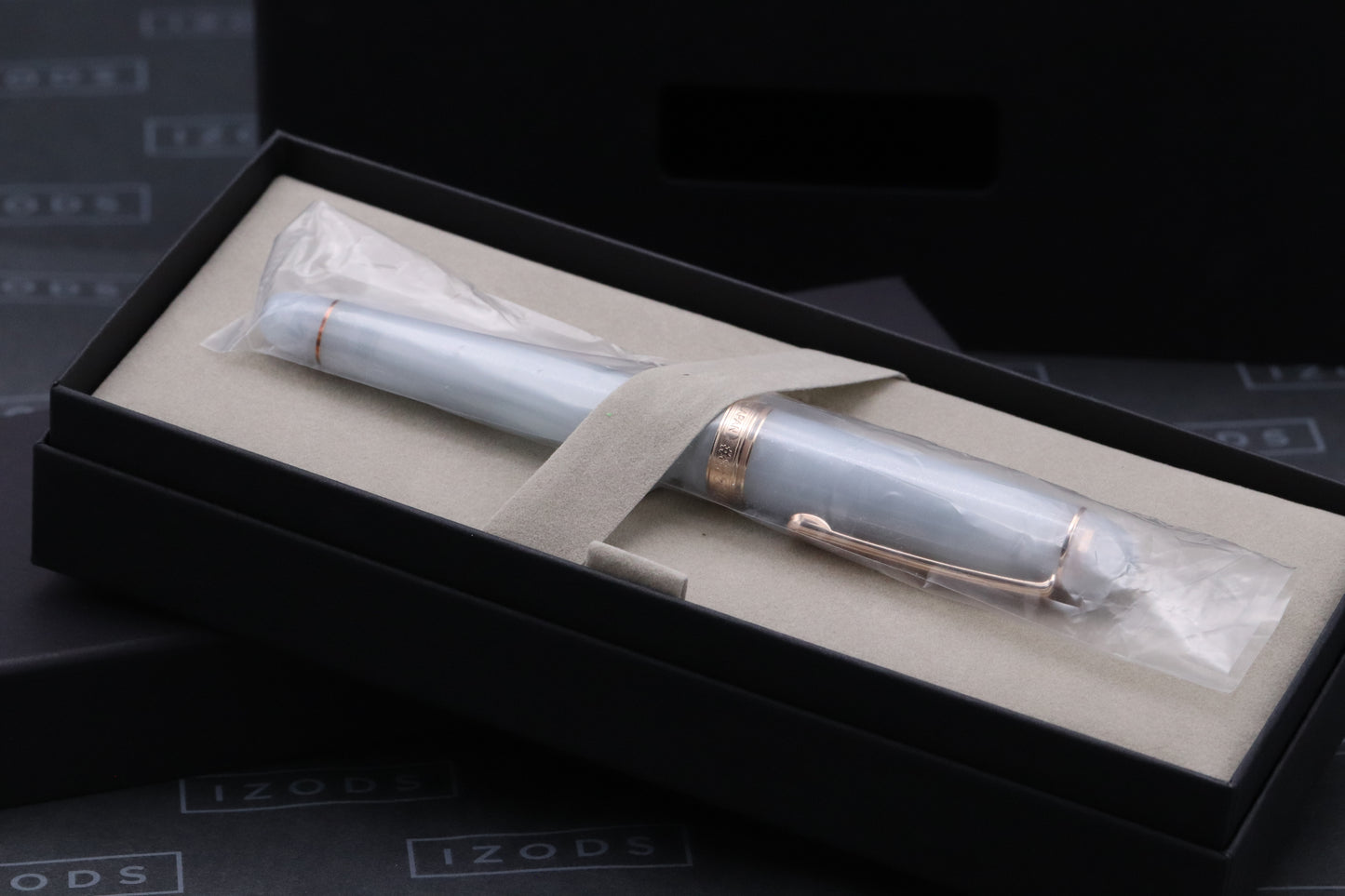 Platinum #3776 Century Bungukan Kobayashi Suruga Bay Spring 2025 Fountain Pen