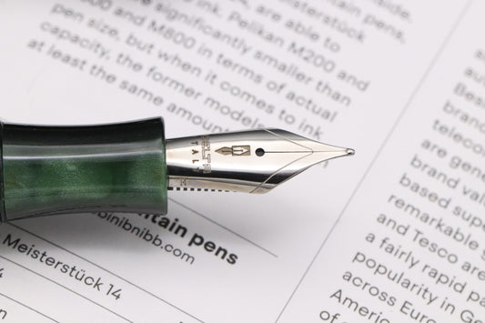 Delta Write Balance Green Palladium Trim Fountain Pen