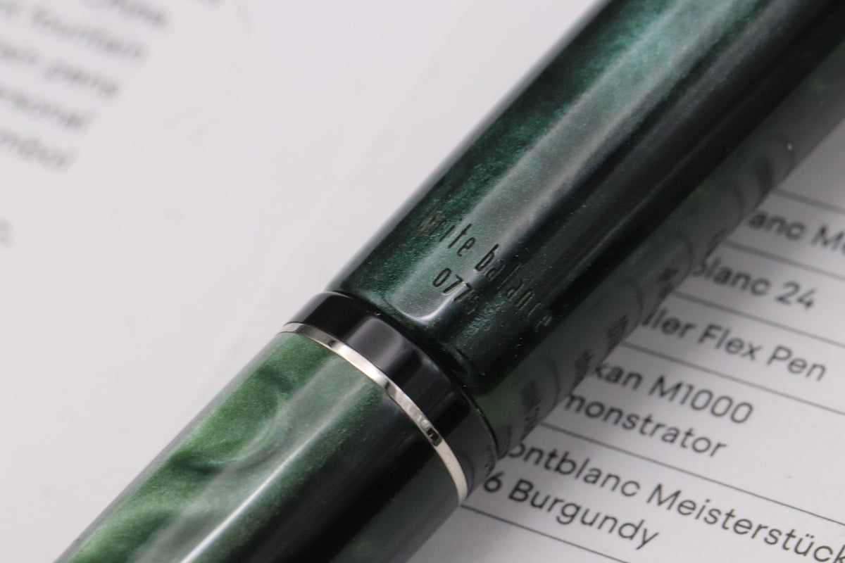 Delta Write Balance Green Palladium Trim Fountain Pen