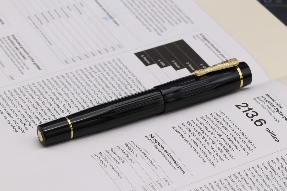 Delta Bio+16 Black Fountain Pen - #8 Nib