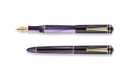 Delta Write Balance Purple Fountain Pen image 1