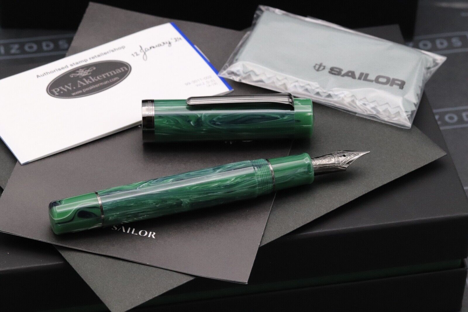 Sailor Luminous Shadow Grove Green Fountain Pen - Medium KOP Nib image 1