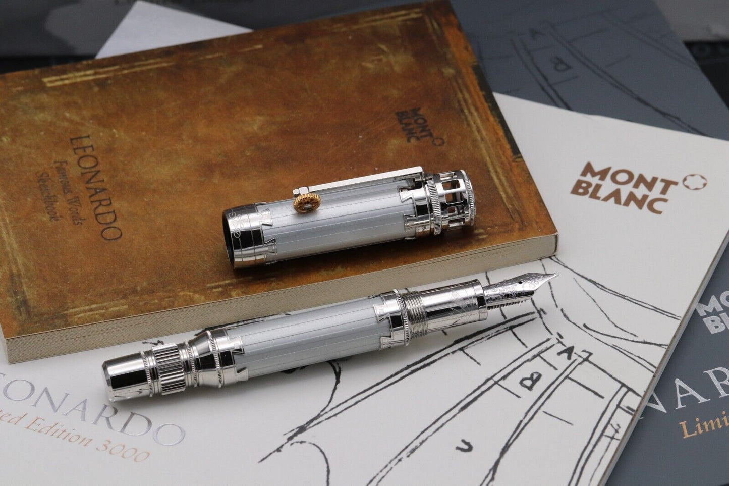Montblanc Great Characters Leonardo da Vinci 3000 LE Fountain Pen image 1