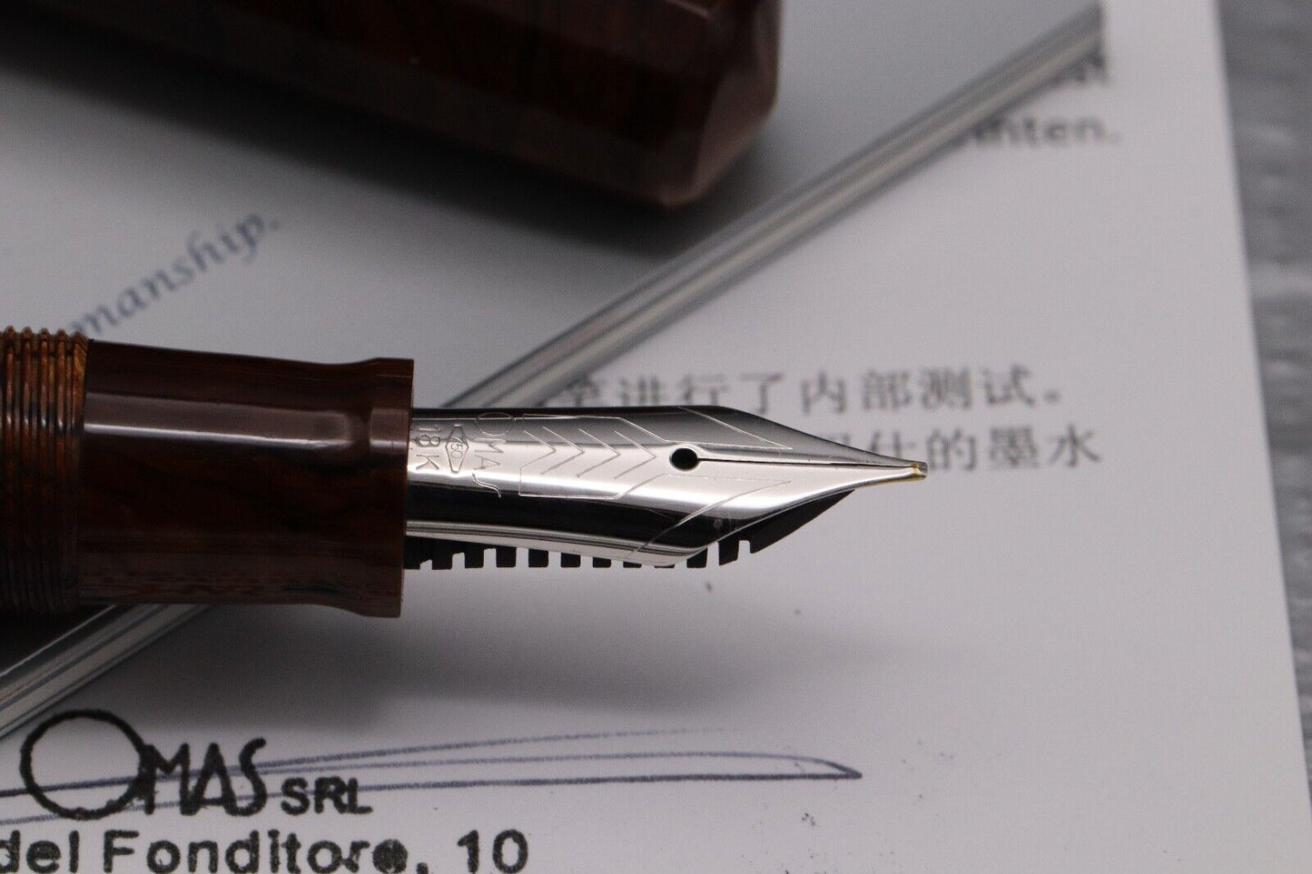 Omas Paragon Burlwood Celluloid LE60 HT Fountain Pen image 2