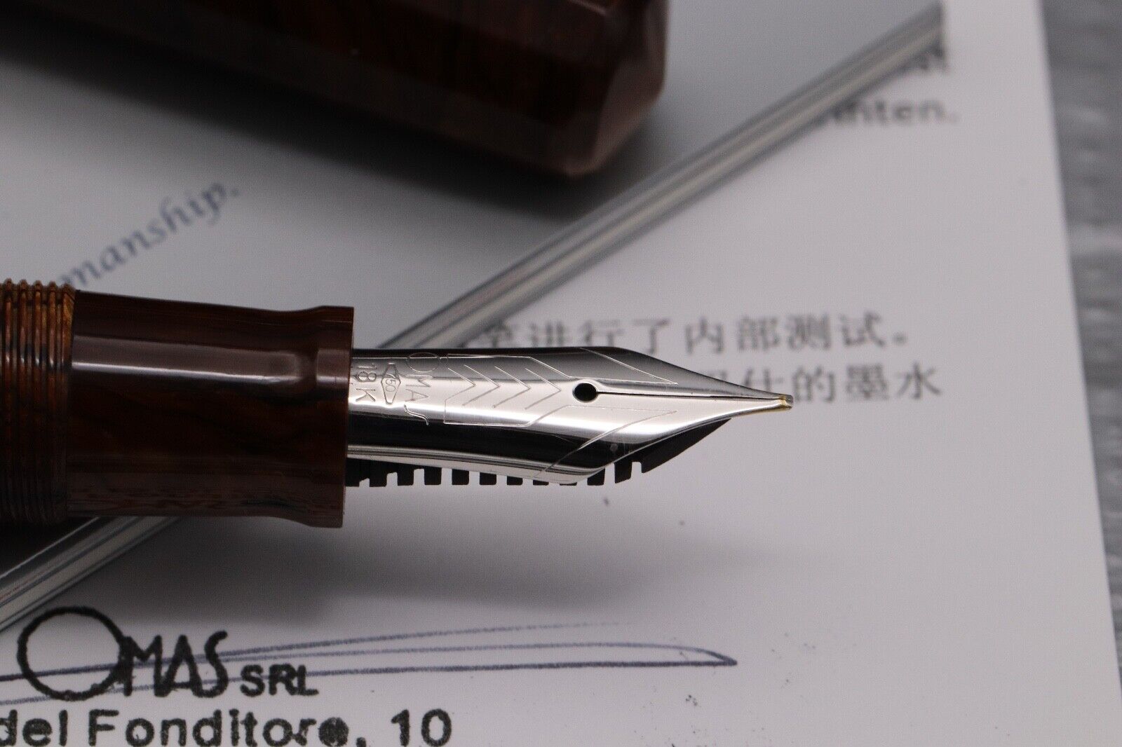 Omas Paragon Burlwood Celluloid LE60 HT Fountain Pen image 2