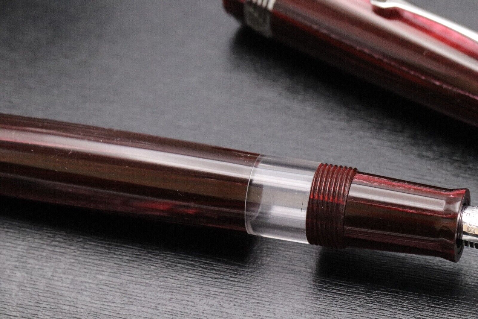 Leonardo Momento Magico Wild World Finestra Panjin LE10 Celluloid Fountain Pen image 3