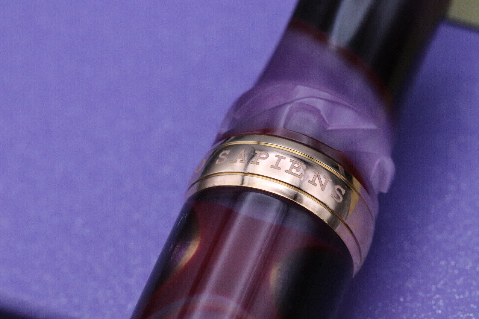 Visconti Homo Sapiens Iris Garden LE388 Fountain Pen - UNUSED image 4