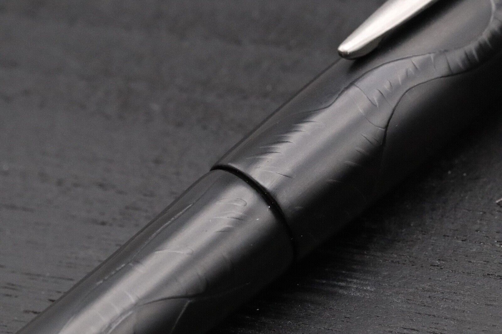Platinum Izumo Shikoku Tiger in The Bamboo Forest Fountain Pen image 4