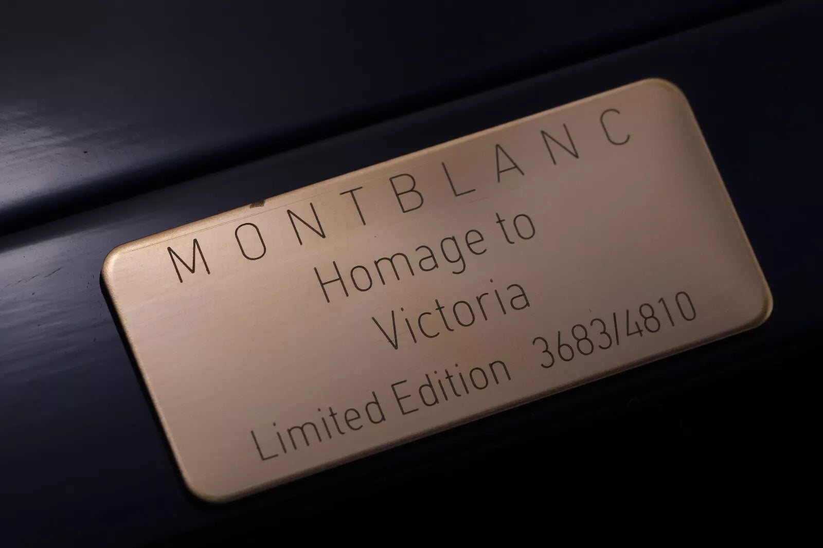 Montblanc Patron of Art Homage to Victoria 4810 Fountain Pen image 12