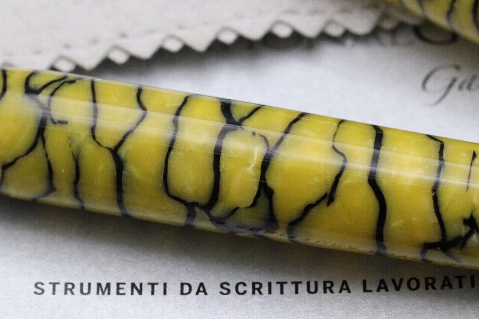 Leonardo Pompeii Celluloid LE7 Fountain Pen - #6 La Fenice Nib image 3