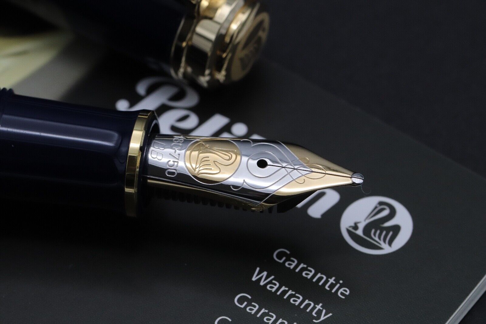 Pelikan M800 Stone Garden Special Edition Fountain Pen - BB Nib image 2