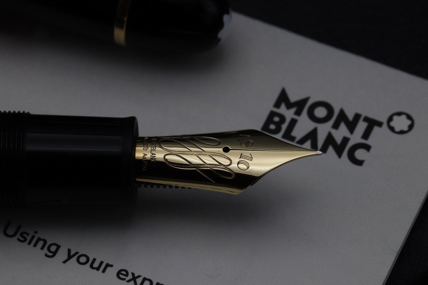 Montblanc Meisterstuck 149 Calligraphy Flex Fountain Pen image 2