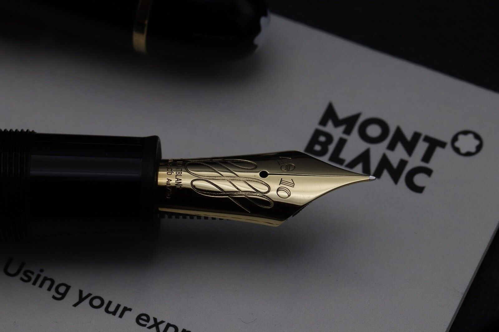 Montblanc Meisterstuck 149 Calligraphy Flex Fountain Pen image 2