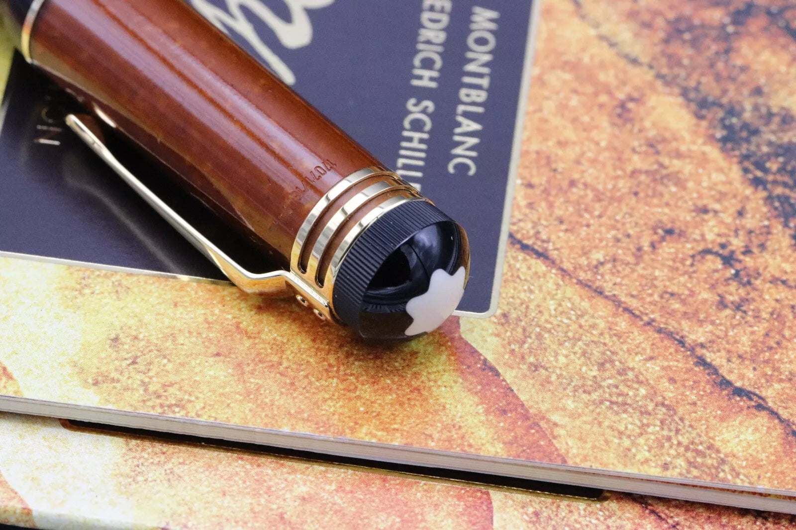 Montblanc Writers Edition Friedrich Schiller Fountain Pen - DIPPED image 7