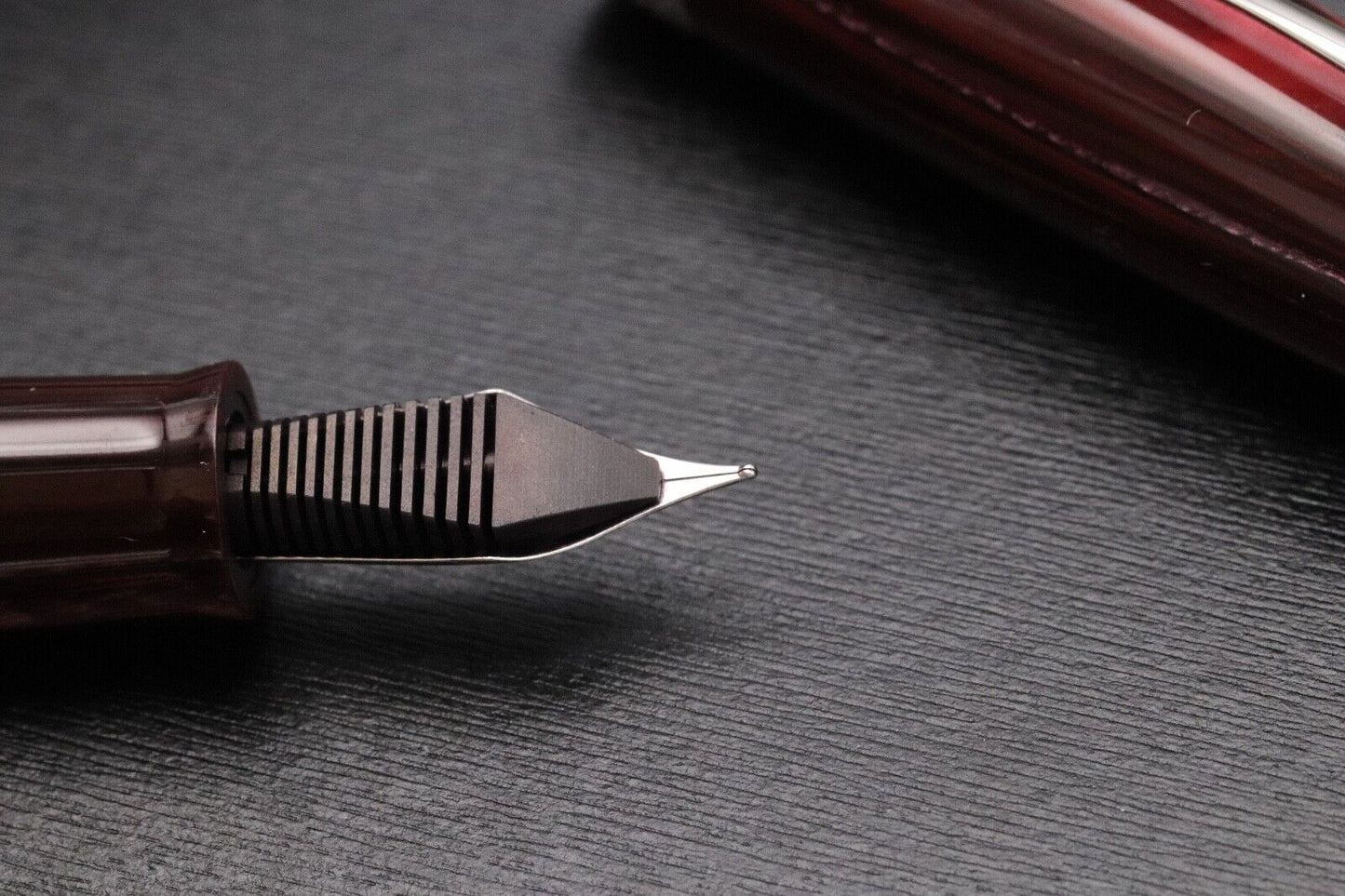 Leonardo Momento Magico Wild World Finestra Panjin LE10 Celluloid Fountain Pen image 4
