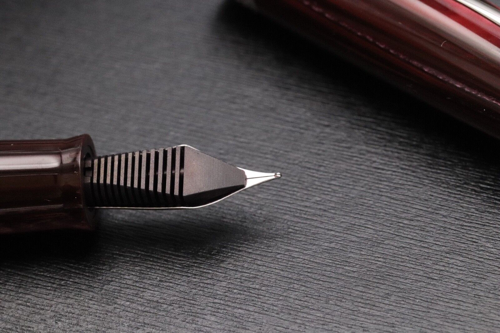 Leonardo Momento Magico Wild World Finestra Panjin LE10 Celluloid Fountain Pen image 4