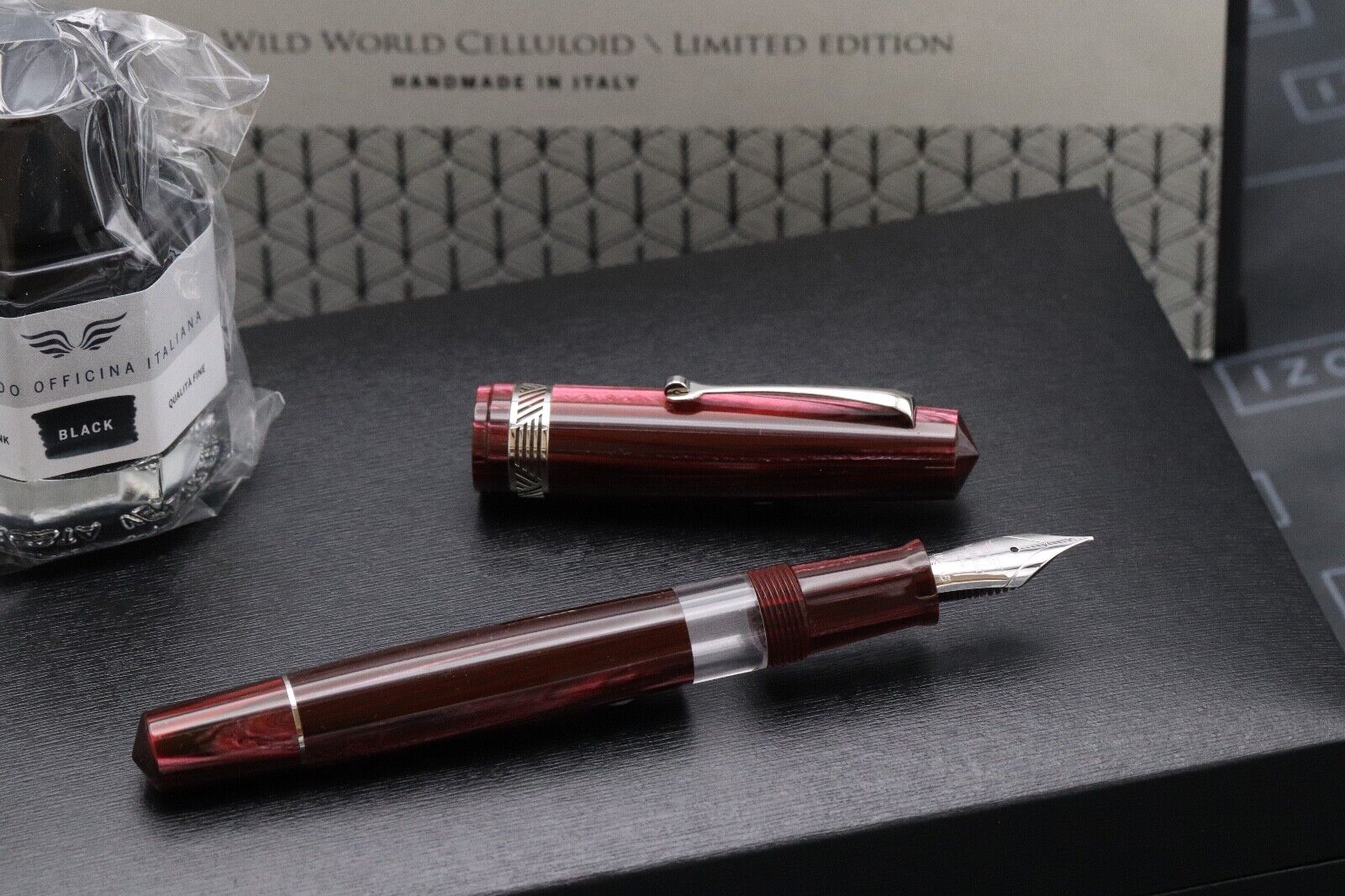 Leonardo Momento Magico Wild World Finestra Panjin LE10 Celluloid Fountain Pen image 1