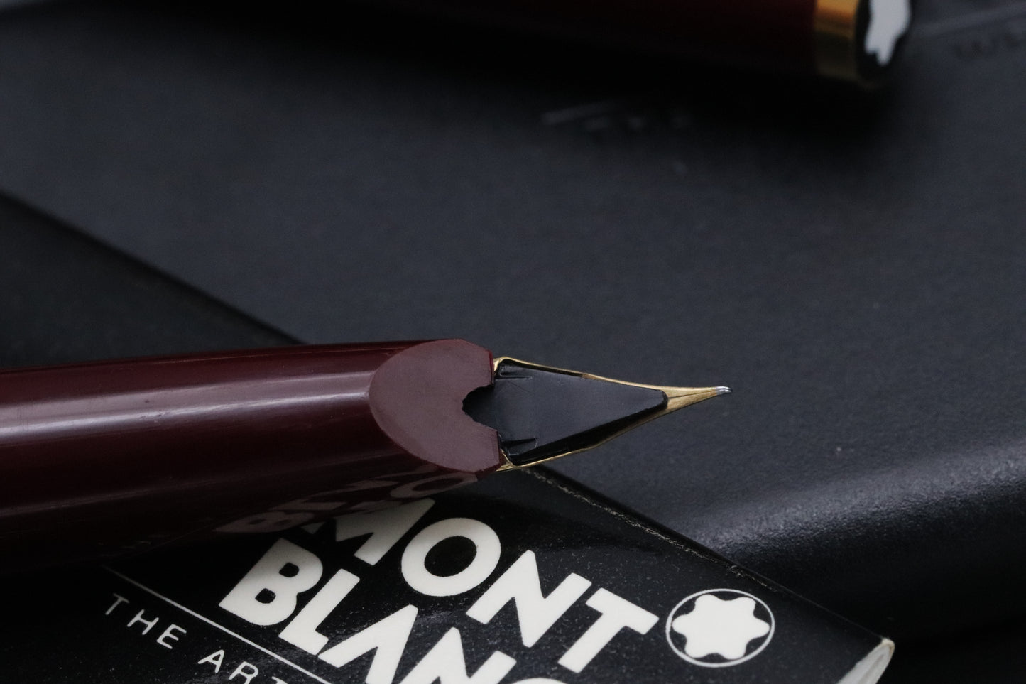 Montblanc 221 Bordeaux Fountain Pen - EF Nib
