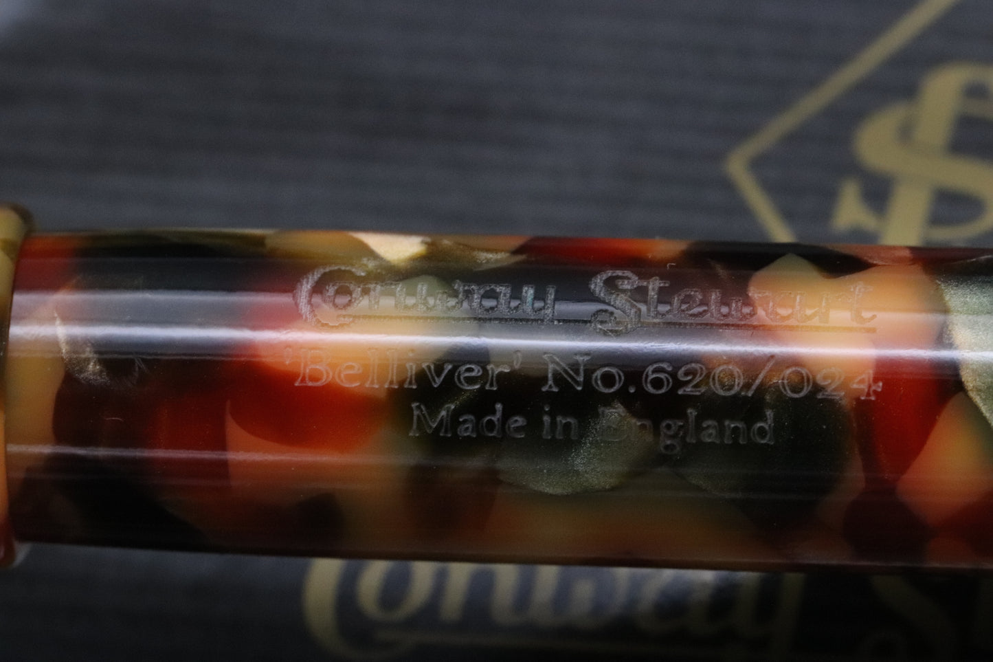Conway Stewart Belliver Coral Green Fountain Pen - IM Nib