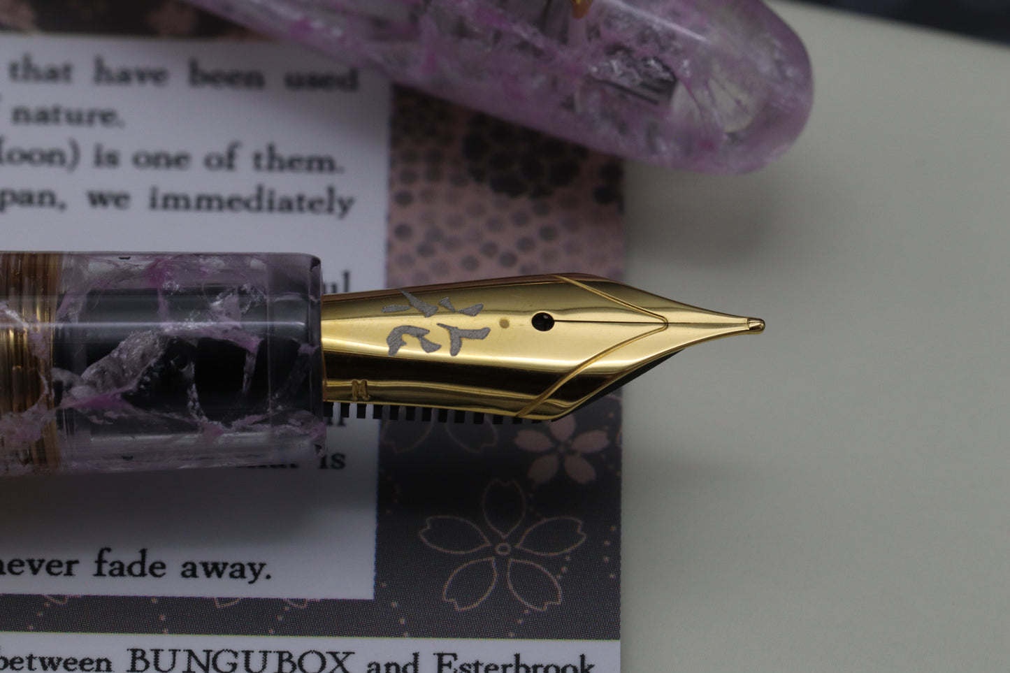 Esterbrook x BunguBox Estie Kachofugetsu Flower Fountain Pen - Medium Nib