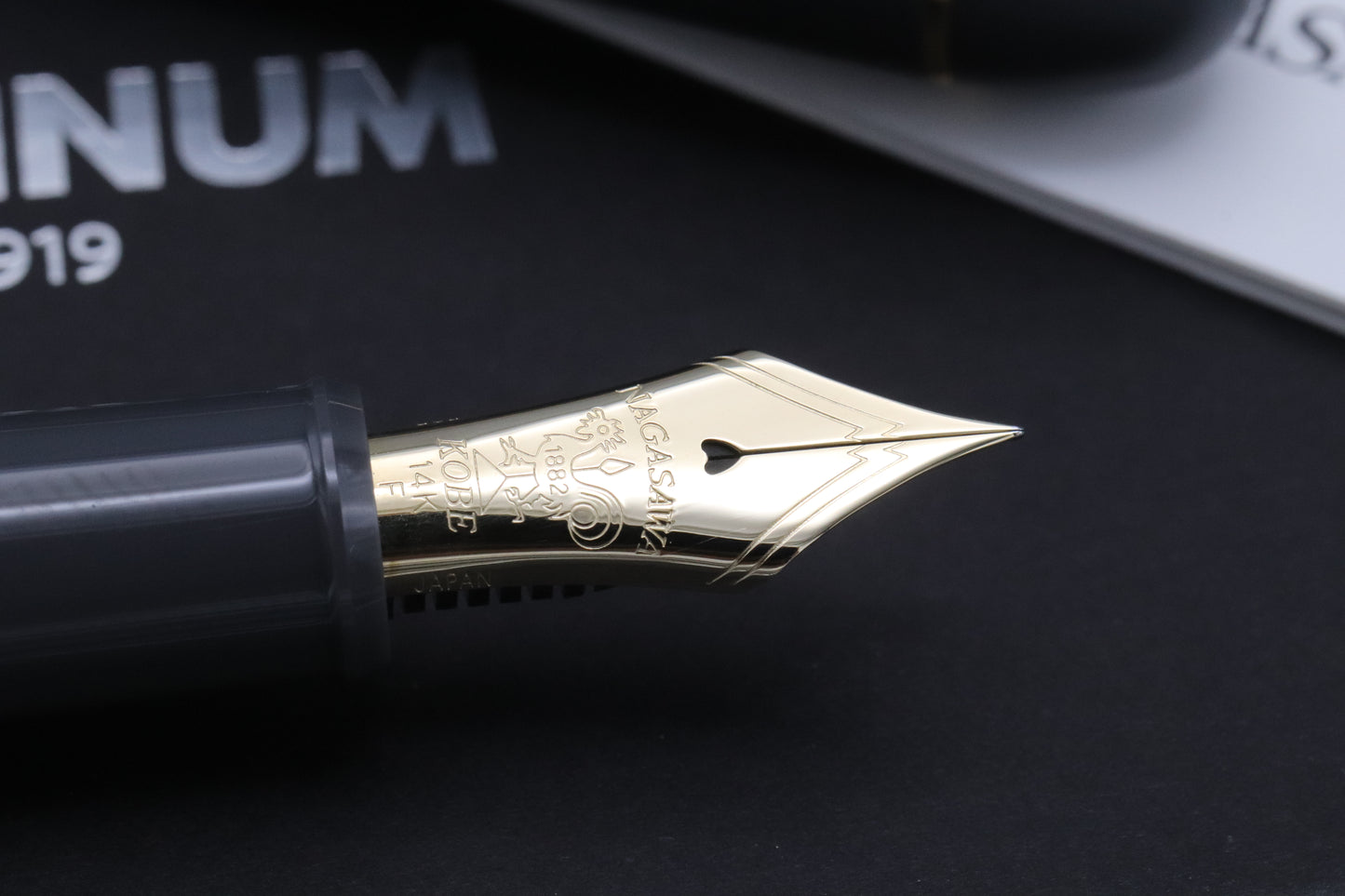 Platinum 3776 Nagasawa Silhouette Fountain Pen - Fine Nib - DIPPED