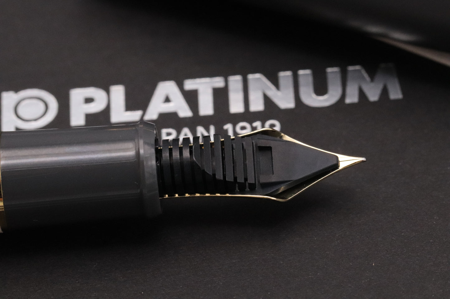 Platinum 3776 Nagasawa Silhouette Fountain Pen - Fine Nib - DIPPED