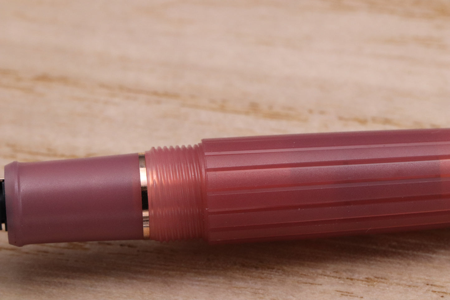 Platinum #3776 Century Nice Wagner Antique Rose 2026 Fountain Pen - UNUSED