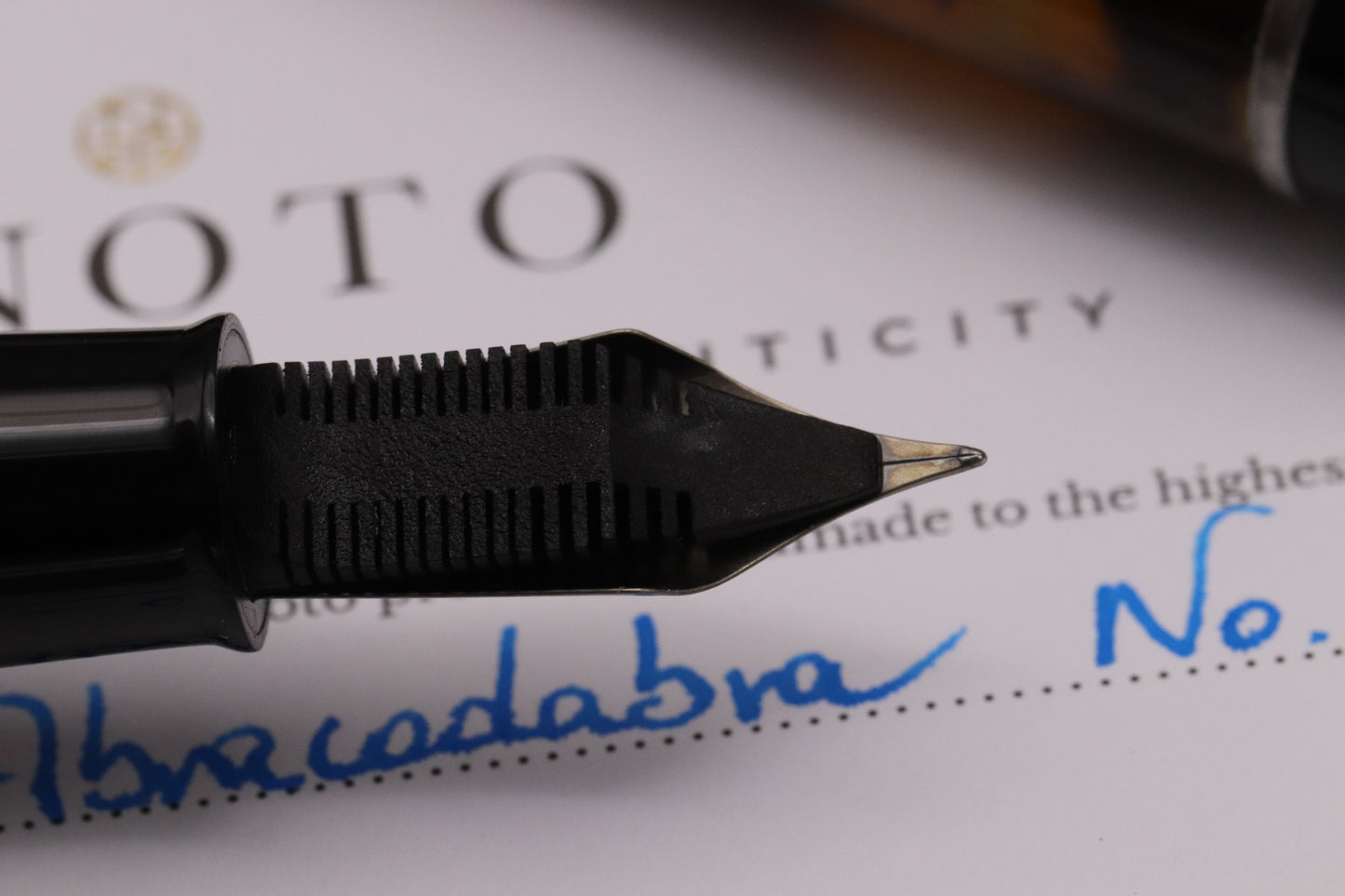 Onoto Magna Tortoiseshell Abracadabra Custom Fountain Pen - EF #8 Ti Nib