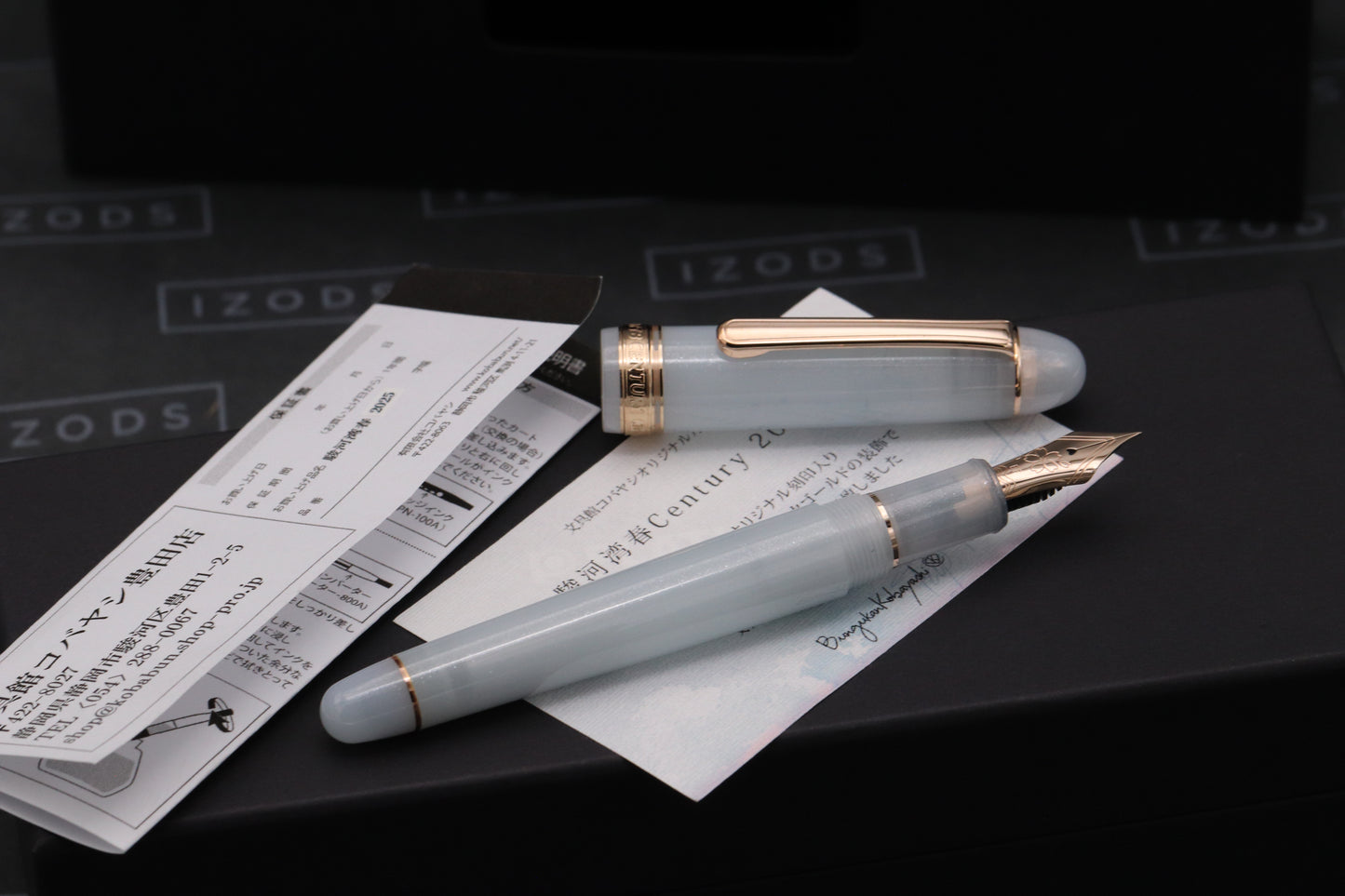 Platinum #3776 Century Bungukan Kobayashi Suruga Bay Spring 2025 Fountain Pen