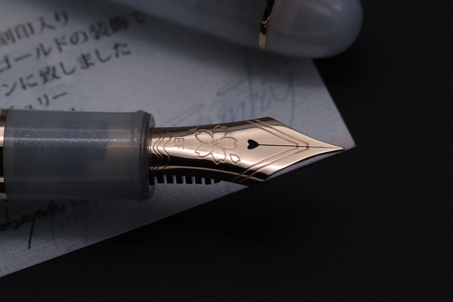 Platinum #3776 Century Bungukan Kobayashi Suruga Bay Spring 2025 Fountain Pen