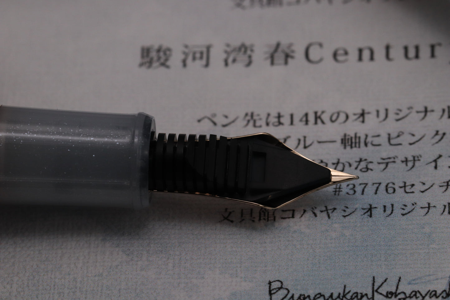 Platinum #3776 Century Bungukan Kobayashi Suruga Bay Spring 2025 Fountain Pen