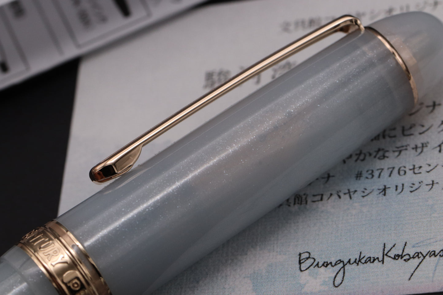 Platinum #3776 Century Bungukan Kobayashi Suruga Bay Spring 2025 Fountain Pen