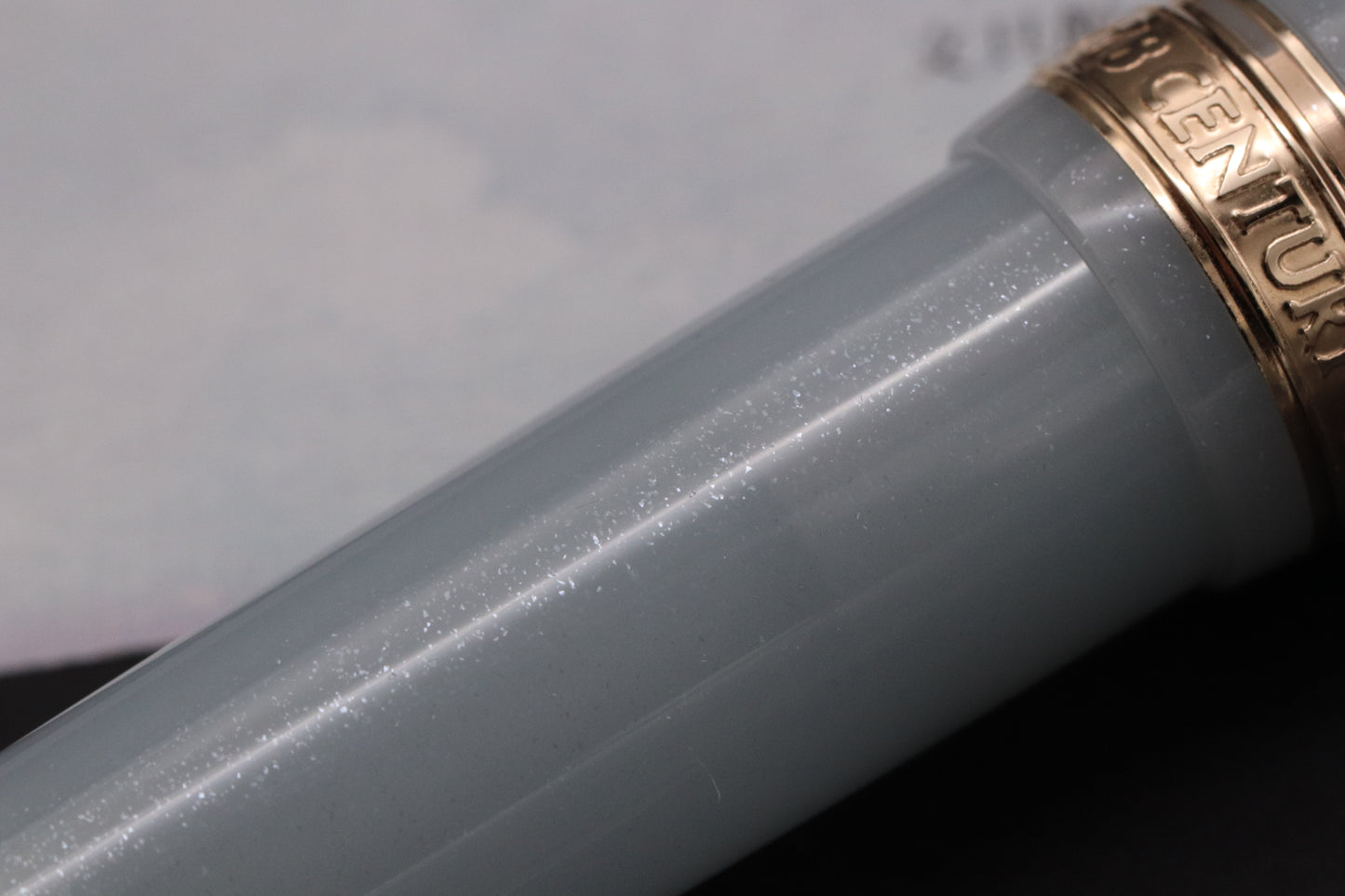 Platinum #3776 Century Bungukan Kobayashi Suruga Bay Spring 2025 Fountain Pen