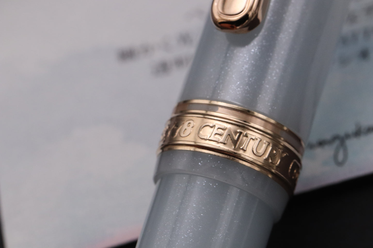 Platinum #3776 Century Bungukan Kobayashi Suruga Bay Spring 2025 Fountain Pen