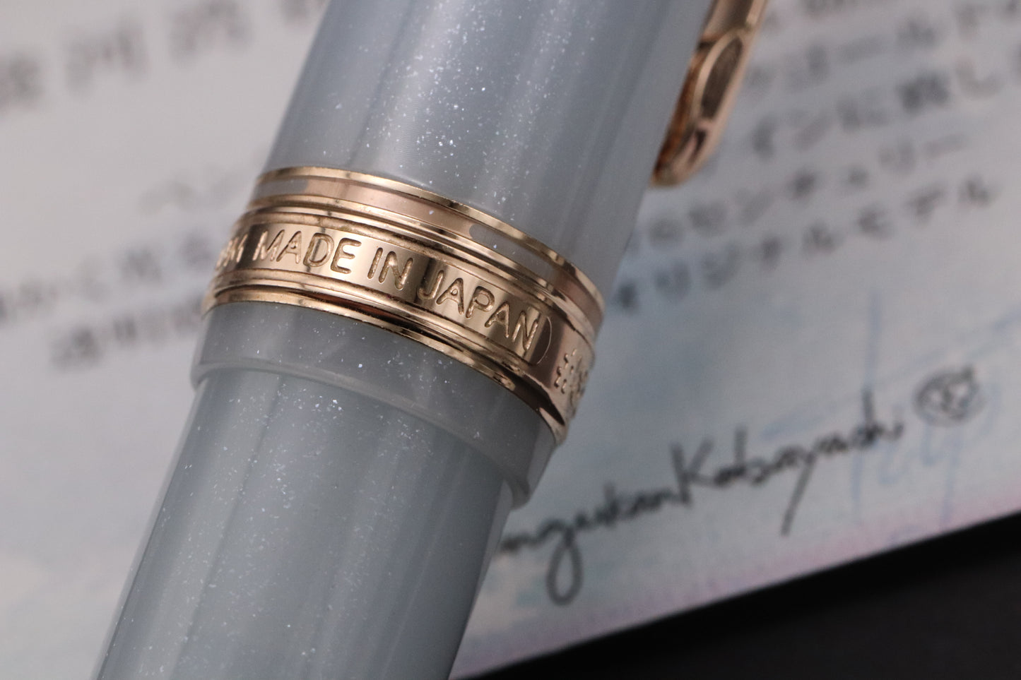 Platinum #3776 Century Bungukan Kobayashi Suruga Bay Spring 2025 Fountain Pen