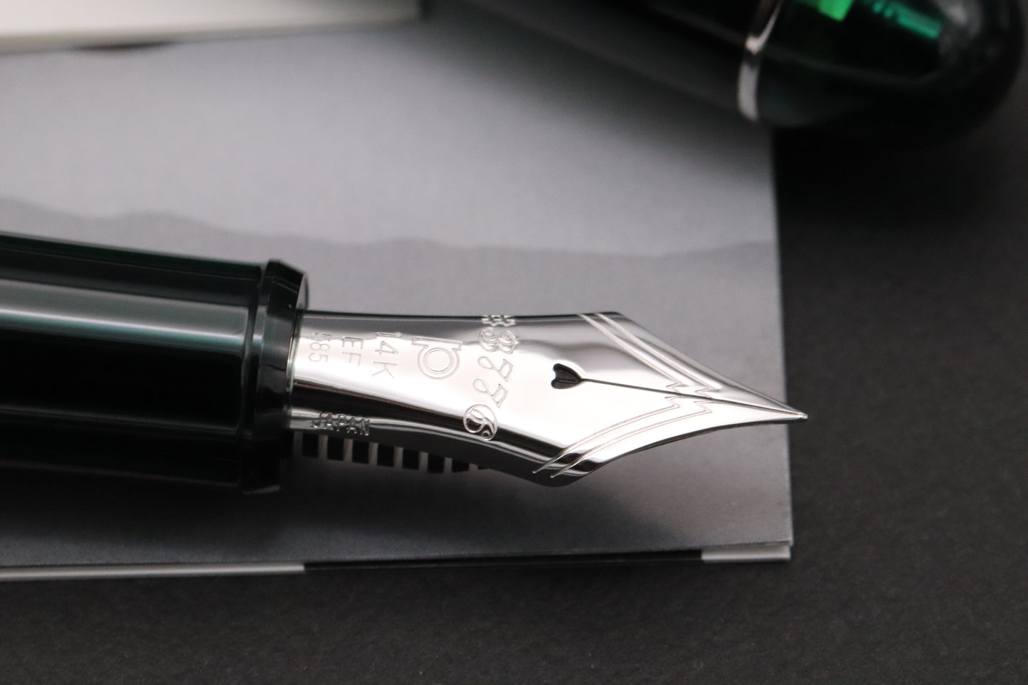 Platinum 3776 Laurel Green Fountain Pen - EF Nib
