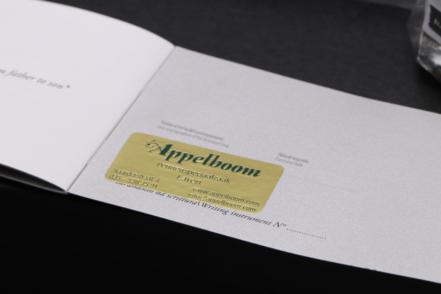 Leonardo Supernova Primary Manipulation 4 LE Fountain Pen - 14k Stub Nib