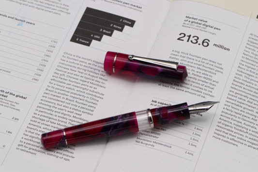 Delta Dune Mirage Palladium Trim Fountain Pen