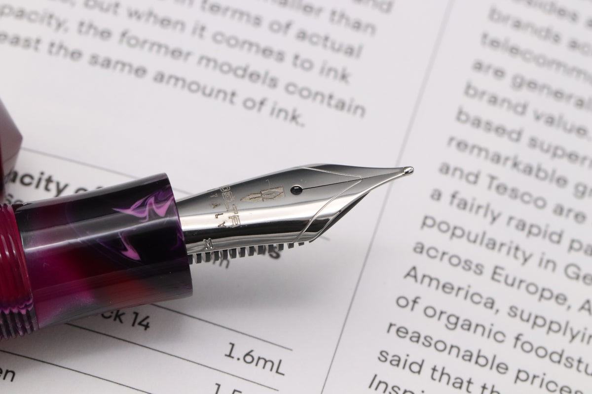 Delta Dune Mirage Palladium Trim Fountain Pen