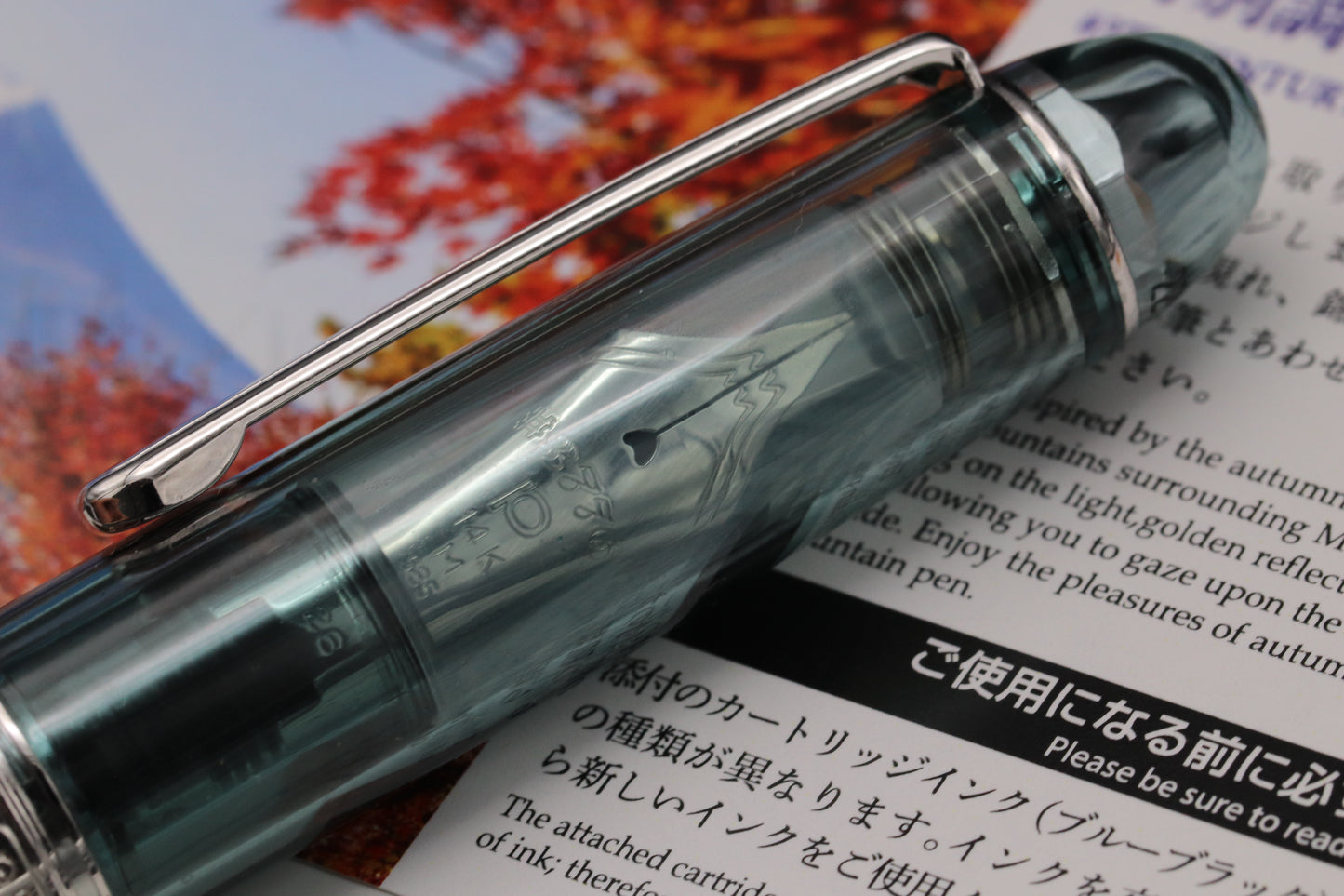 Platinum #3776 Kinu-Gumo Limited Edition Fountain Pen - INKED ONCE