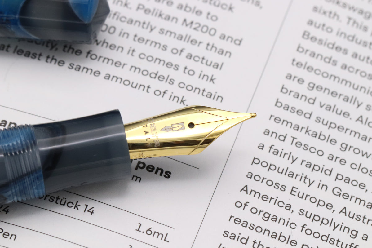 Delta Dune Reflex Gold Trim Fountain Pen