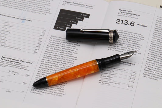 Delta Dolce Vita Write Balance Fountain Pen