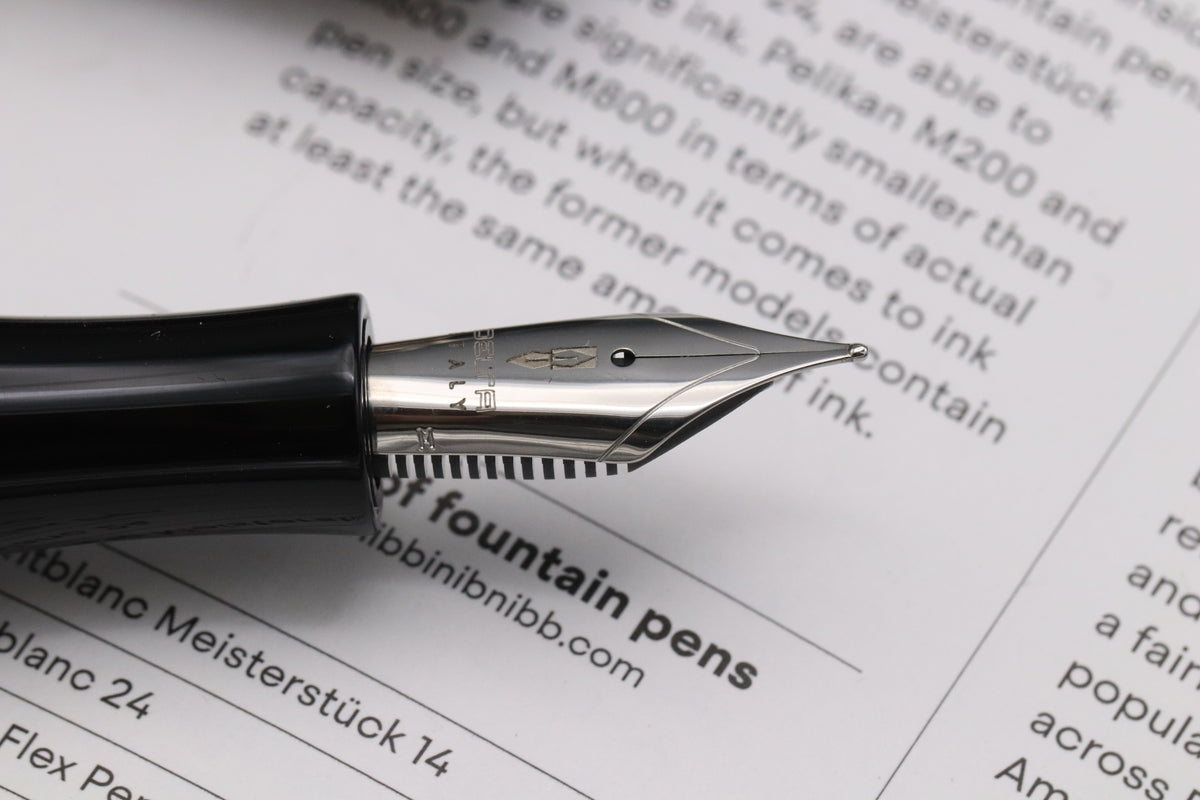 Delta Dolce Vita Write Balance Fountain Pen