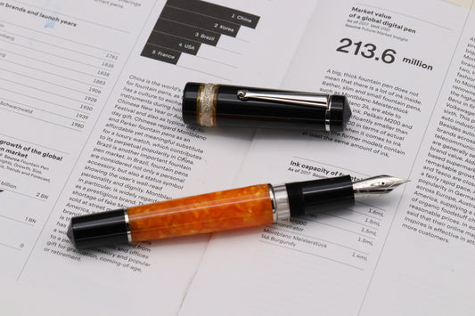 Delta d.V 2.0 Premium Palladium Trim Fountain Pen - 14k Nib