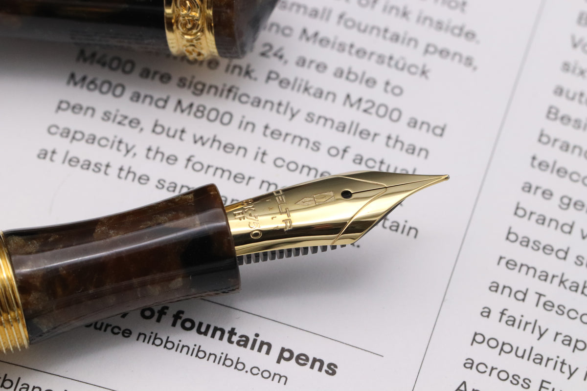Delta 39+1 Write Balance Limited Edition Celluloid Fountain Pen - 18k Extra Fine Nib