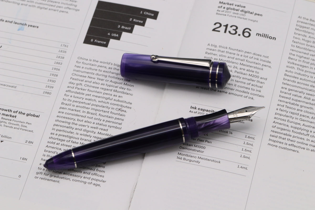 Delta Write Balance Purple Palladium Trim Fountain Pen