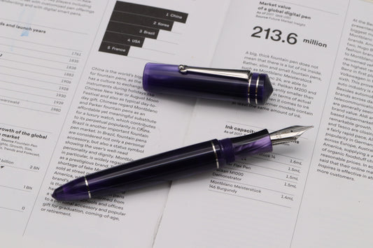 Delta Write Balance Purple Palladium Trim Fountain Pen