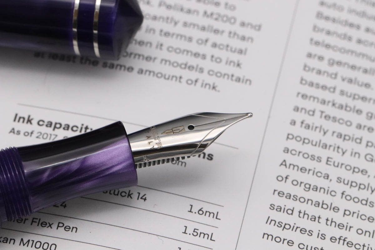 Delta Write Balance Purple Palladium Trim Fountain Pen